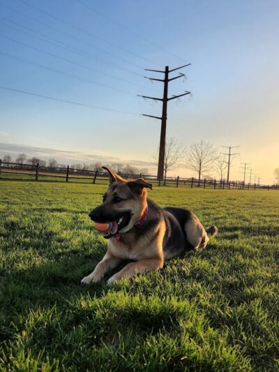 Clow Stephens Park - Plainfield, IL