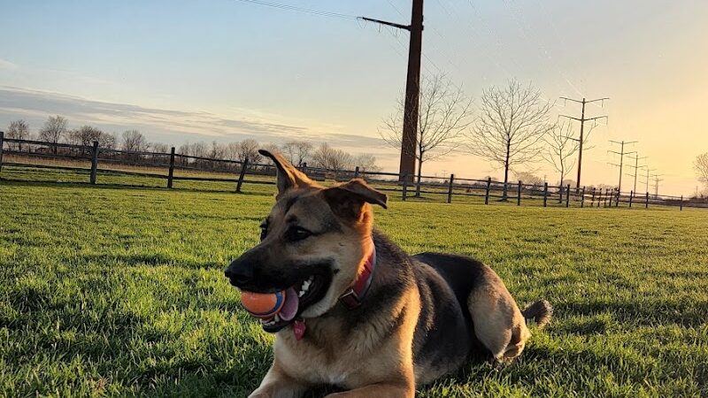 Clow Stephens Park - Plainfield, IL