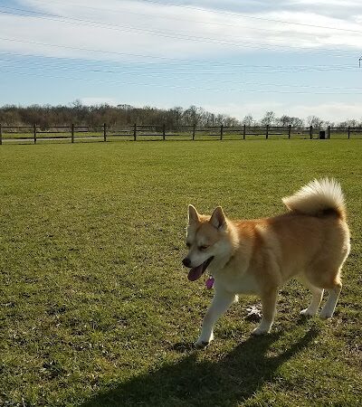 Clow Stephens Park - Plainfield, IL