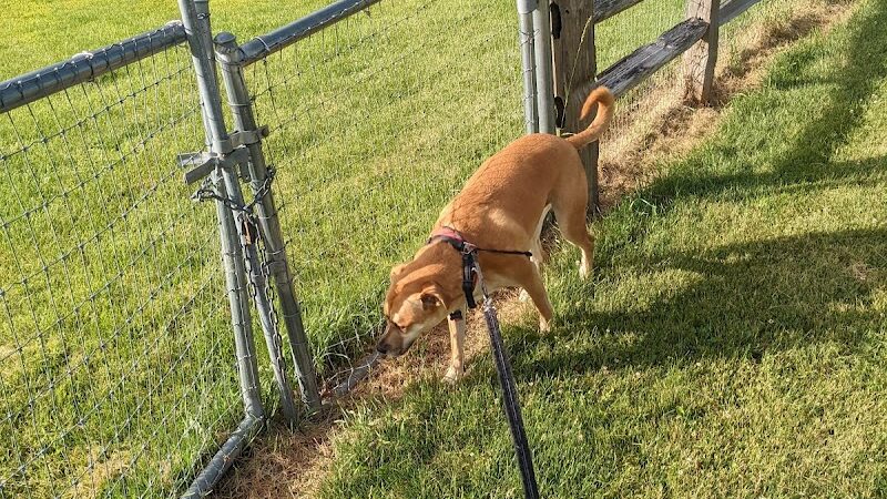 Daisy Dog Park - Plainfield, IL