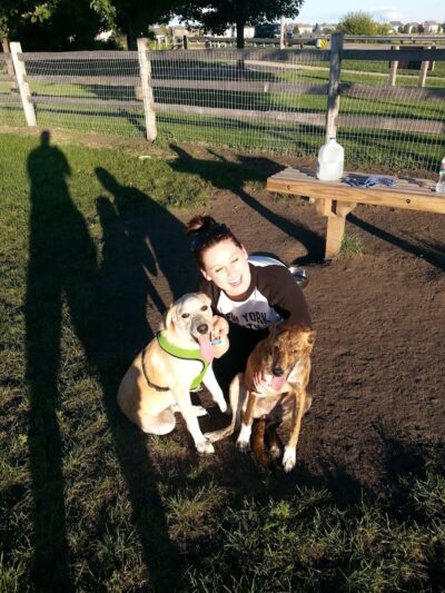 Daisy Dog Park - Plainfield, IL