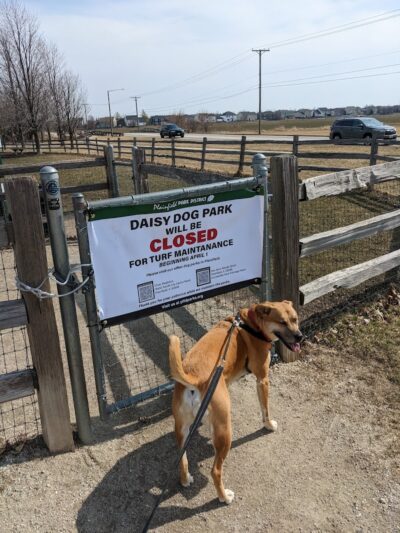 Daisy Dog Park - Plainfield, IL
