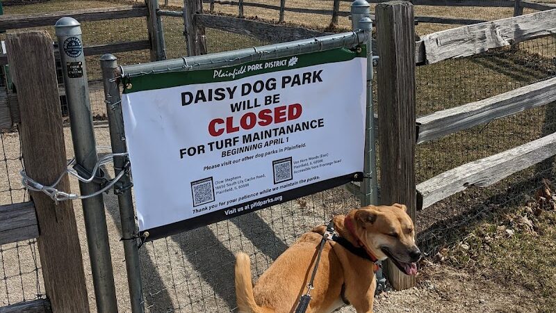 Daisy Dog Park - Plainfield, IL