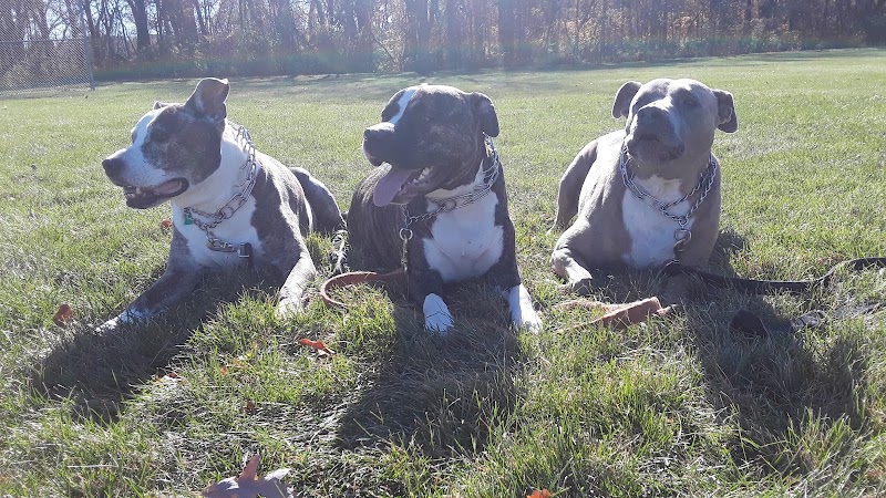 Van Horn Woods East Dog Park - Plainfield, IL