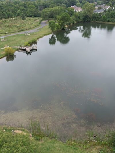 Van Horn Woods East Dog Park - Plainfield, IL
