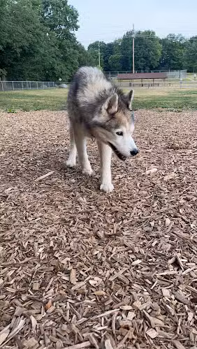 Plainwell Dog Park - Plainwell, MI