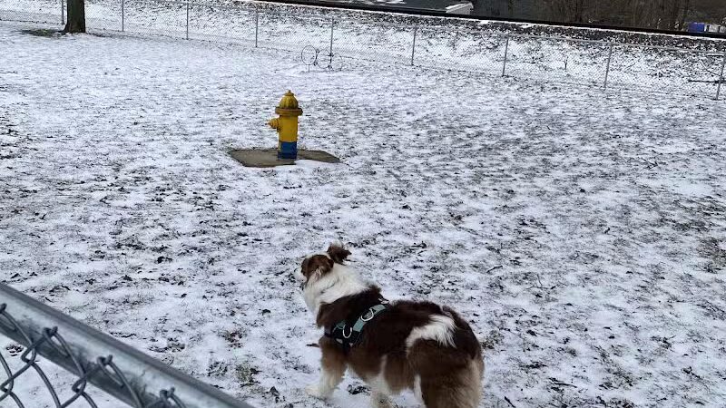 Plainwell Dog Park - Plainwell, MI