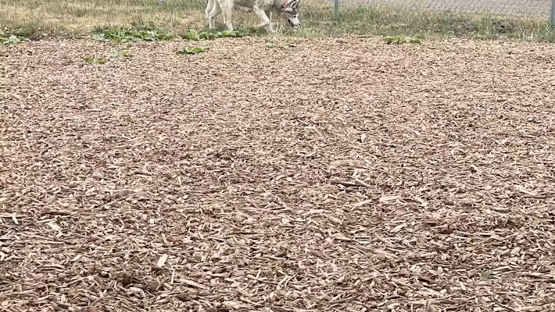 Plainwell Dog Park - Plainwell, MI