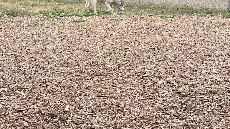 Plainwell Dog Park - Plainwell, MI