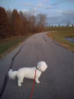 Platte Ridge Park - Platte City, MO