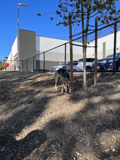 Chilpancingo Dog Park - Pleasant Hill, CA