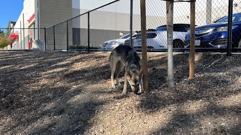 Chilpancingo Dog Park - Pleasant Hill, CA