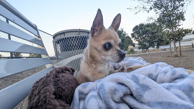 Chilpancingo Dog Park - Pleasant Hill, CA