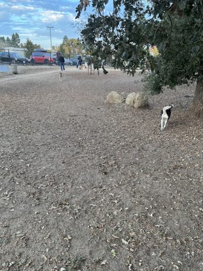 Chilpancingo Dog Park - Pleasant Hill, CA