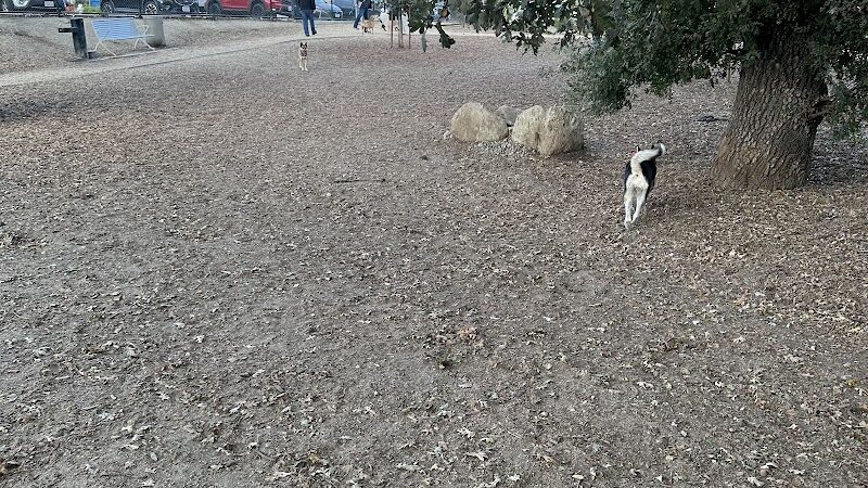 Chilpancingo Dog Park - Pleasant Hill, CA