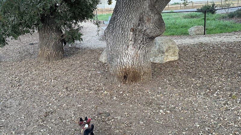 Chilpancingo Dog Park - Pleasant Hill, CA