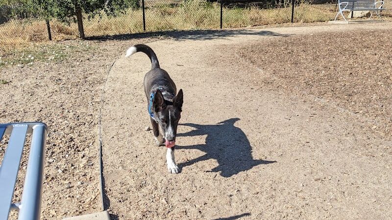 Chilpancingo Dog Park - Pleasant Hill, CA