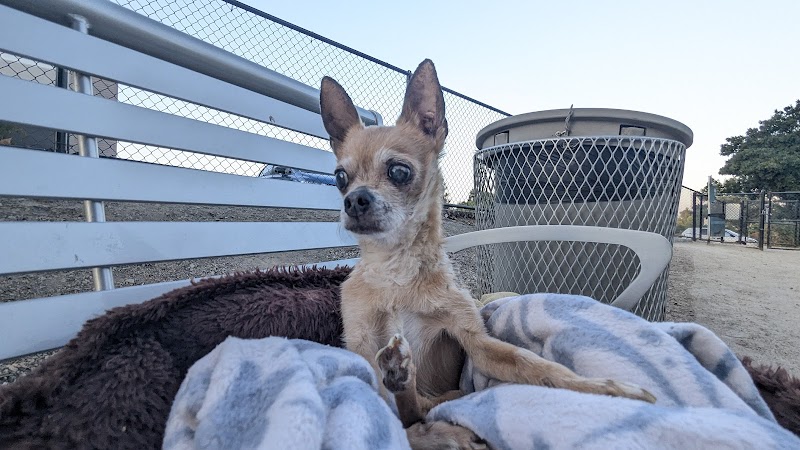 Chilpancingo Dog Park - Pleasant Hill, CA