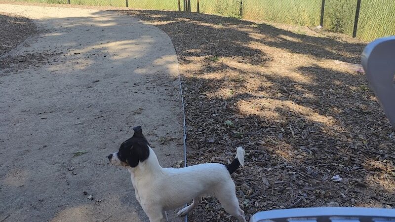 Chilpancingo Dog Park - Pleasant Hill, CA
