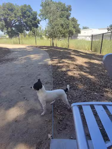 Chilpancingo Dog Park - Pleasant Hill, CA