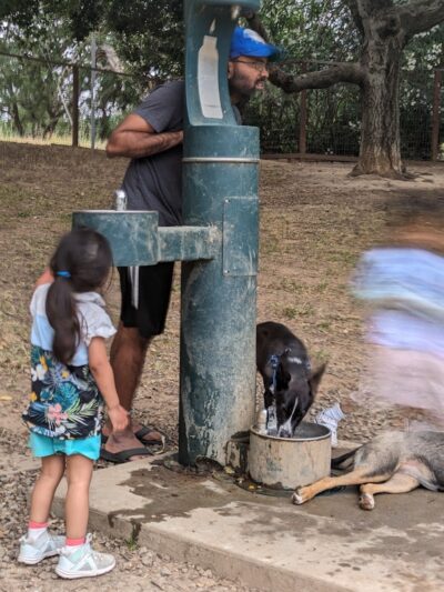 Paso Nogal Dog Park - Pleasant Hill, CA