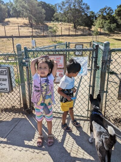 Paso Nogal Dog Park - Pleasant Hill, CA