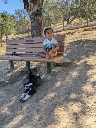 Paso Nogal Dog Park - Pleasant Hill, CA