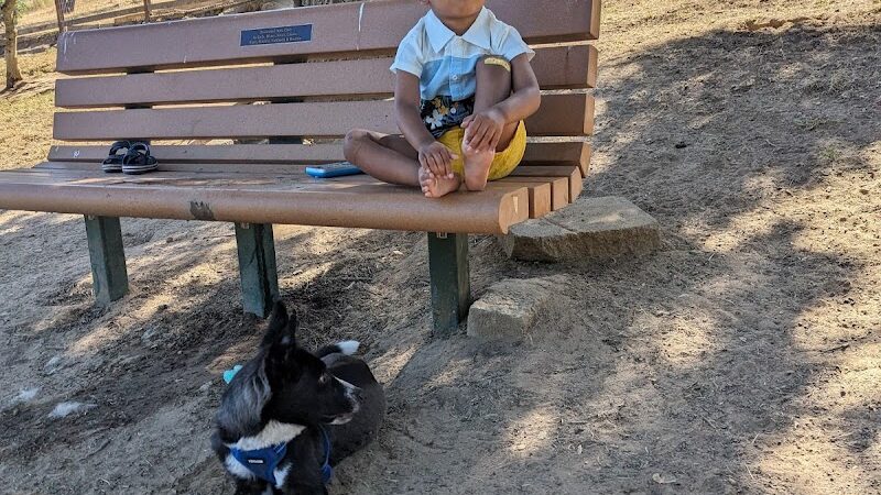 Paso Nogal Dog Park - Pleasant Hill, CA