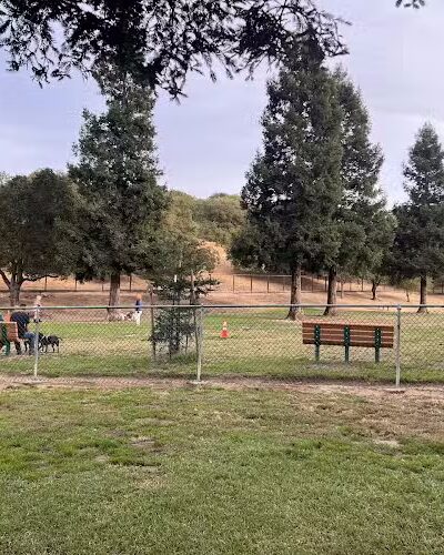 Paso Nogal Dog Park - Pleasant Hill, CA