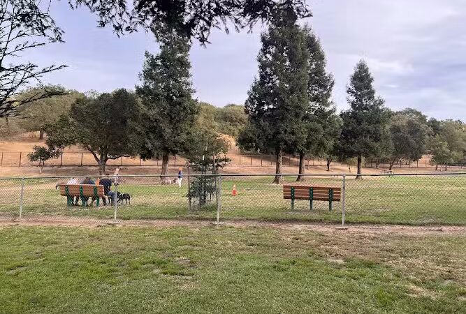 Paso Nogal Dog Park - Pleasant Hill, CA