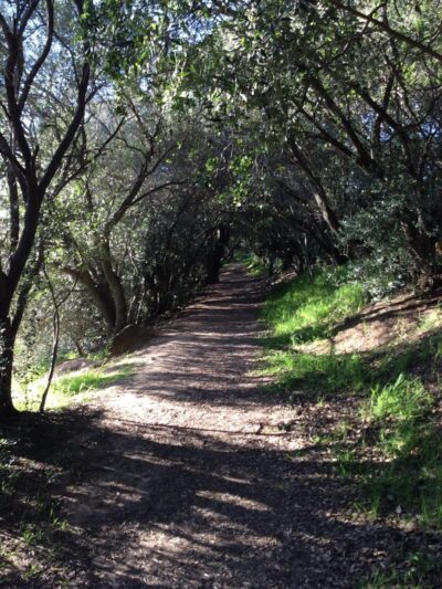 Paso Nogal Park - Pleasant Hill, CA