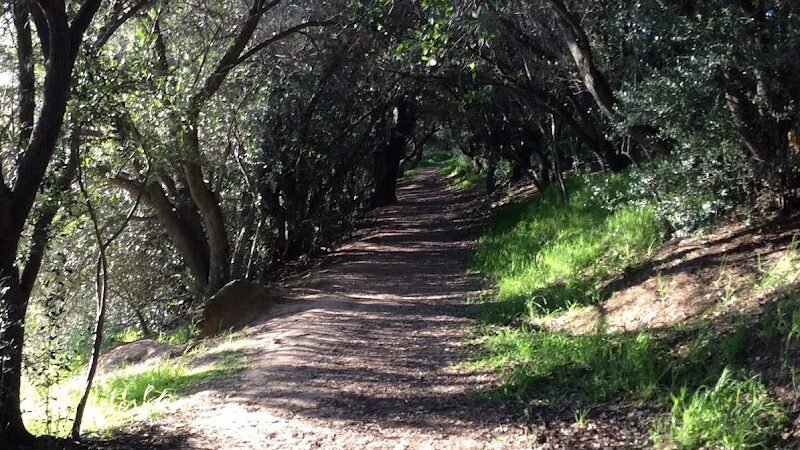 Paso Nogal Park - Pleasant Hill, CA