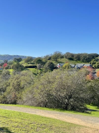 Paso Nogal Park - Pleasant Hill, CA