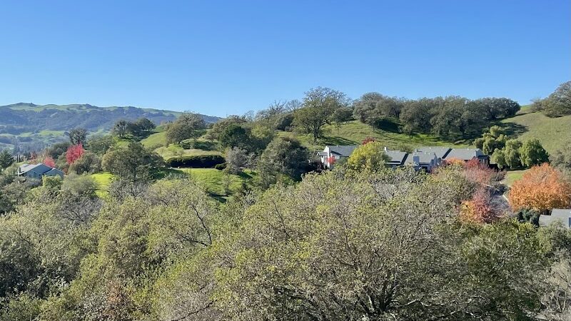 Paso Nogal Park - Pleasant Hill, CA