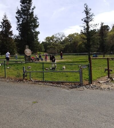 Paso Nogal Park - Pleasant Hill, CA