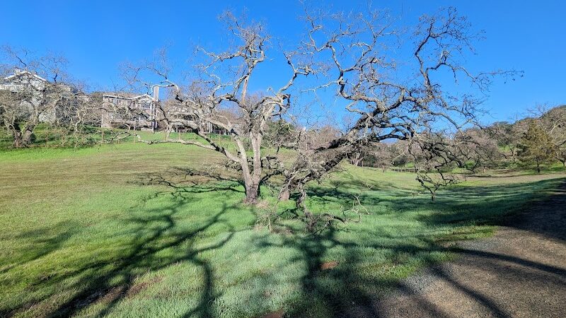 Paso Nogal Park - Pleasant Hill, CA