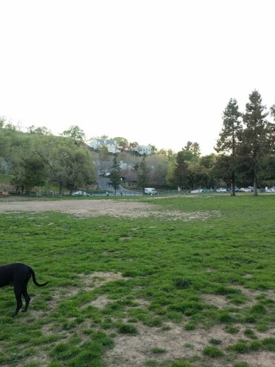 Paso Nogal Park - Pleasant Hill, CA