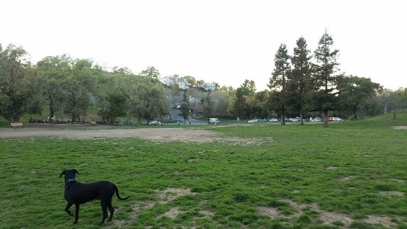 Paso Nogal Park - Pleasant Hill, CA