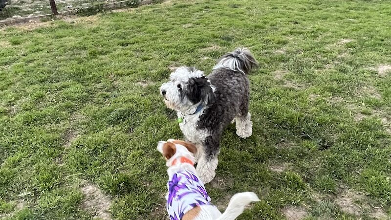 Paso Nogal Park - Pleasant Hill, CA