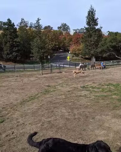 Paso Nogal Park - Pleasant Hill, CA