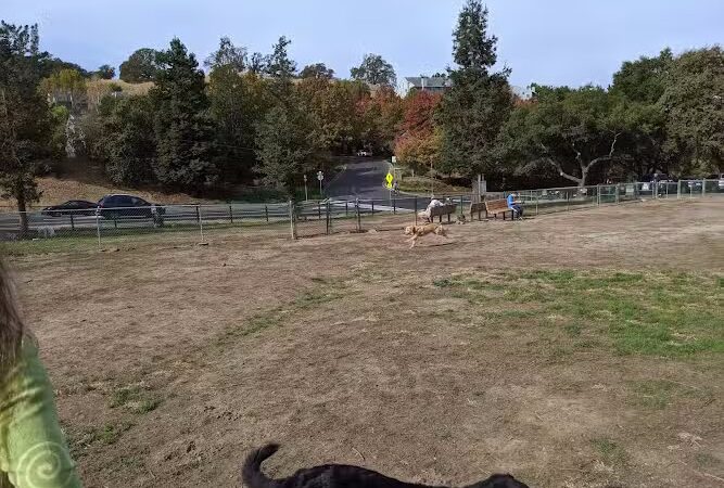 Paso Nogal Park - Pleasant Hill, CA