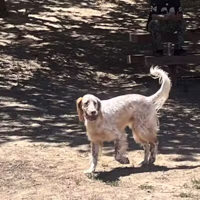 Paso Nogal Park - Pleasant Hill, CA