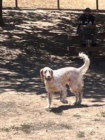 Paso Nogal Park - Pleasant Hill, CA