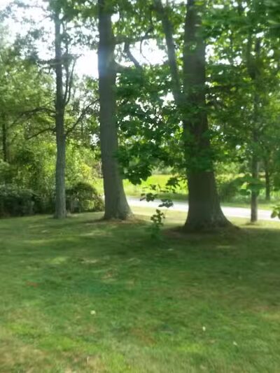 Pleasant Lake - Pleasant Lake, MI