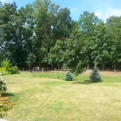 Pleasant Lake - Pleasant Lake, MI