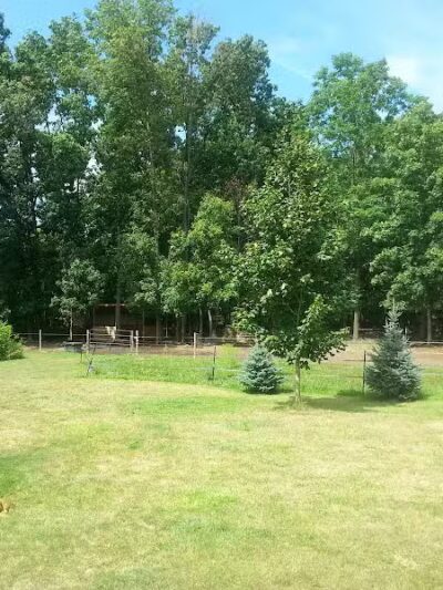 Pleasant Lake - Pleasant Lake, MI