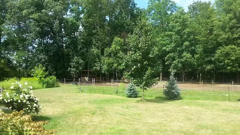 Pleasant Lake - Pleasant Lake, MI