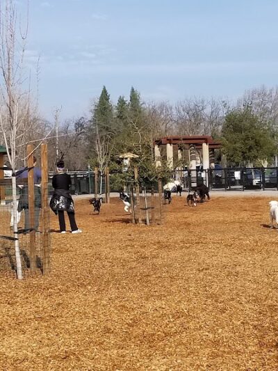 Cubby's Dog Park - Pleasanton, CA