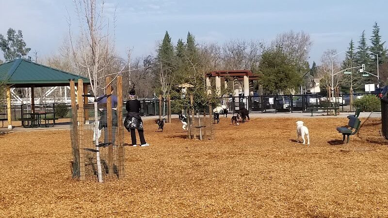 Cubby's Dog Park - Pleasanton, CA