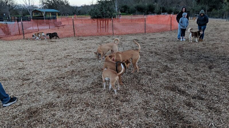 Cubby's Dog Park - Pleasanton, CA